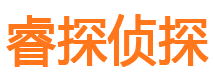 白玉市调查公司